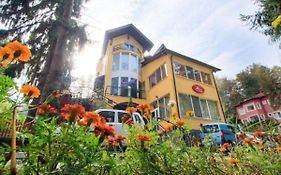 Hotel Alice
